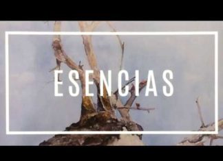 Picture Slide Show ‘Esencias’