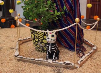 Picture Slide Show: Altares monumentales