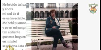 Semblanza Rosa María Peraza