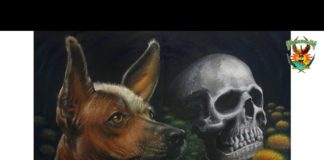 III EXPOSICIÓN Y ENCUENTRO INTERNACIONAL DE ARTE «UNA FIESTA VIVA DE MÉXICO»