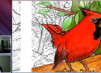 Buscan proteger el medio ambiente y divulgar la ciencia a través del arte con el libro ‘Colorín coloreando, Culiacán voy pintando’