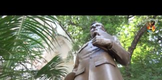 Trabajan en el altar en honor al ‘Granito de oro’